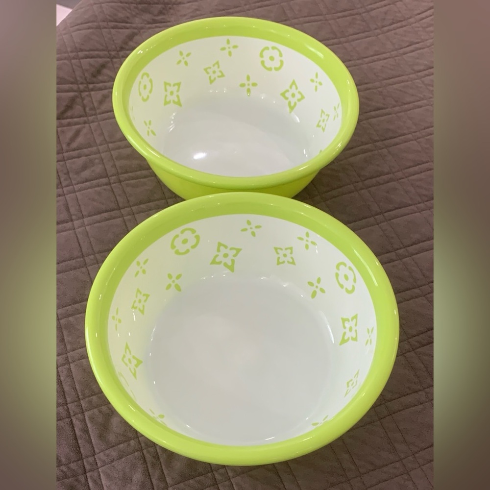 Set of 2 Large Bowls